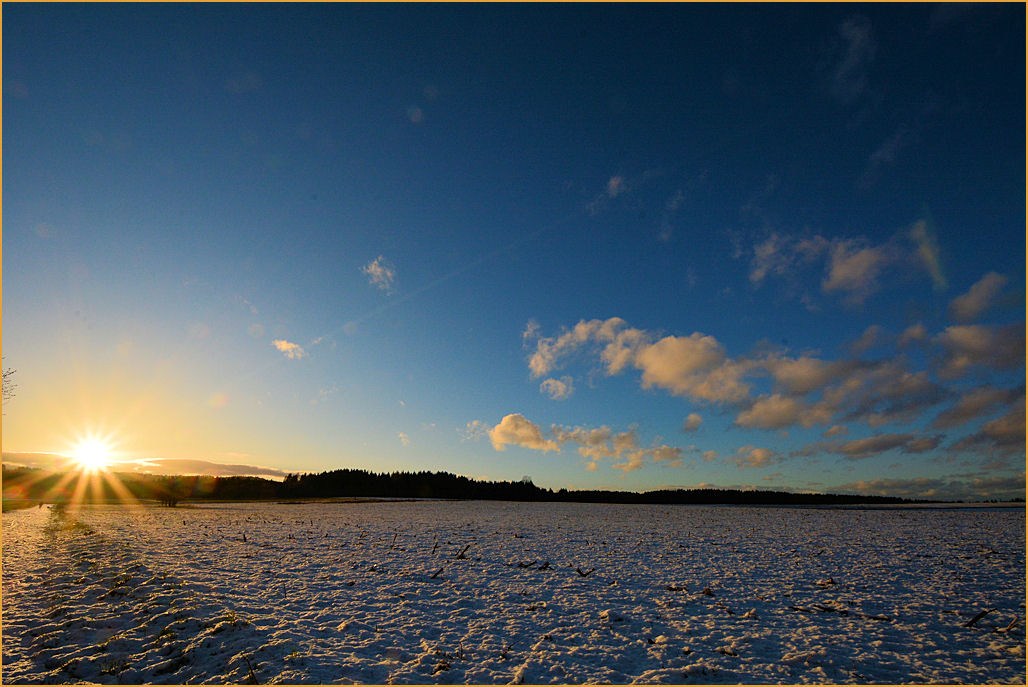 Spaichinger Wald