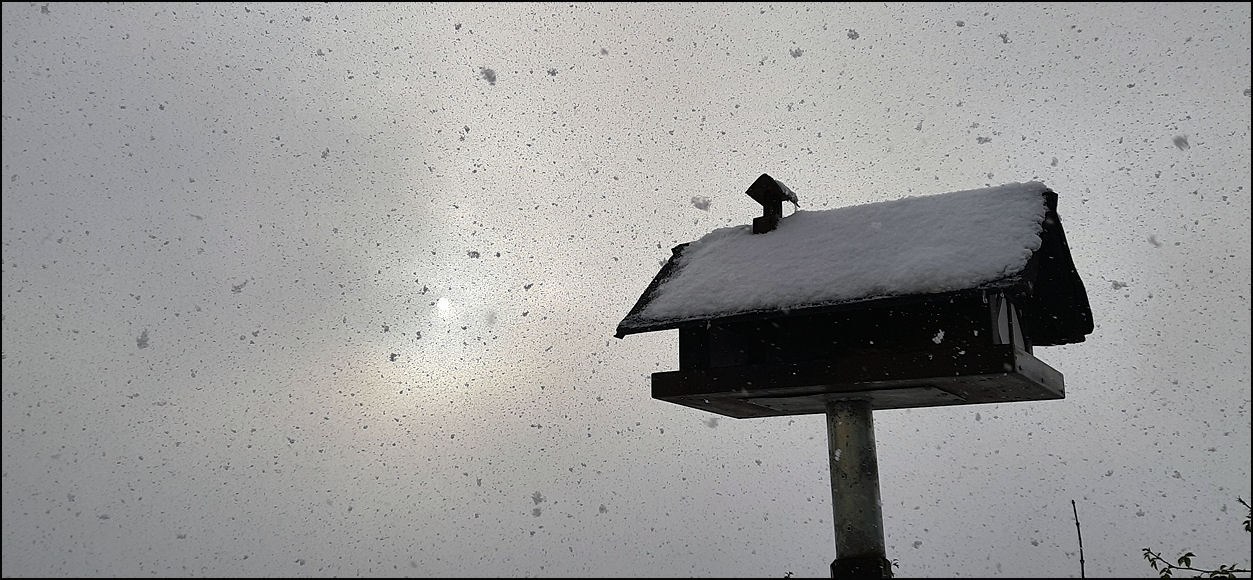 Vogelhaus im Schneegestöber