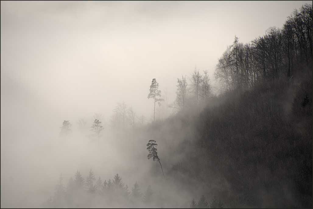 Nebel im Donautal